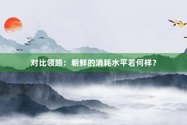 对比领路：朝鲜的消耗水平若何样？
