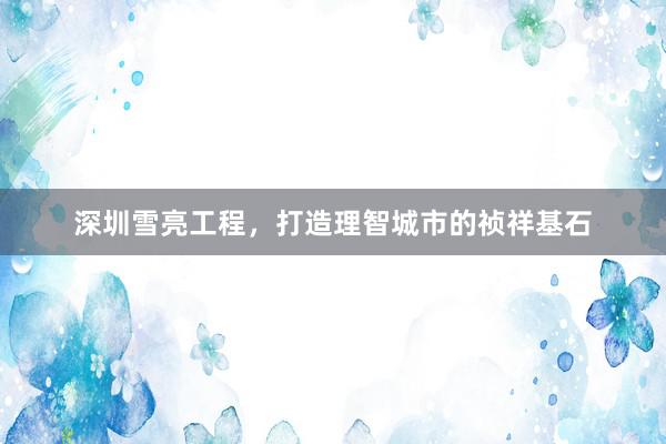 深圳雪亮工程，打造理智城市的祯祥基石